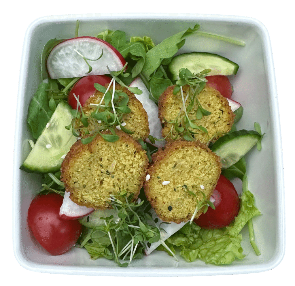 Salat mit Falafel und Radieschen – Falafel Salat vegan bestellen in Wien: einzelne Portion mit hausgemachten Falafel, Radieschen, Gurken, Kirschtomaten, frischem Blattsalat und Rucola. Veganer Genuss, leicht und frisch, ideal für Catering, Buffet oder als gesunde Mahlzeit.